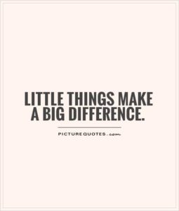 little-things-make-a-big-difference-quote-1