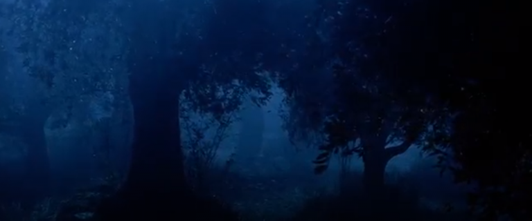 The Garden – A Poem