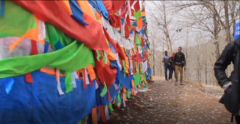 Day 157 – The Powerful Lessons that come with Travel [Short Video Clip]