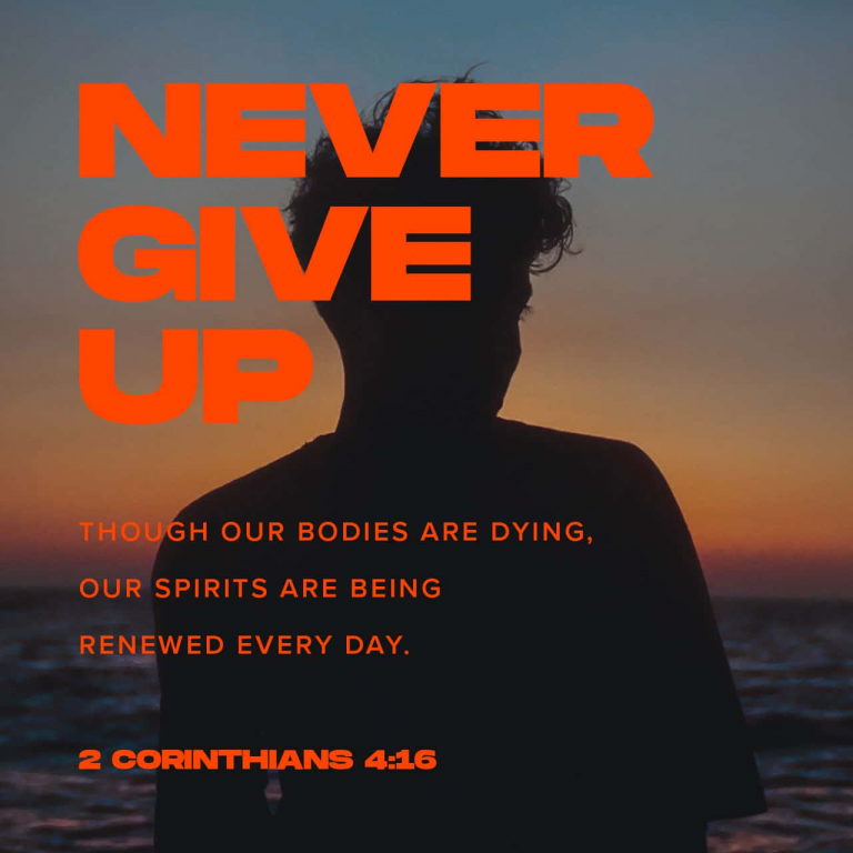 Day 265 – Never Give Up!