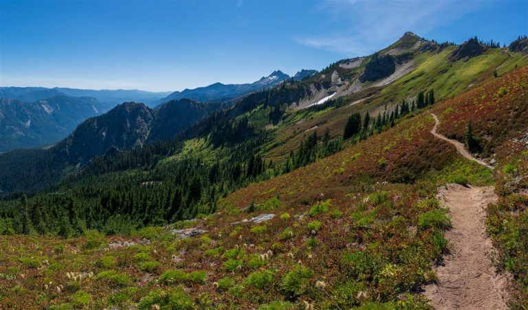 Day 369 – Quiet confidence…