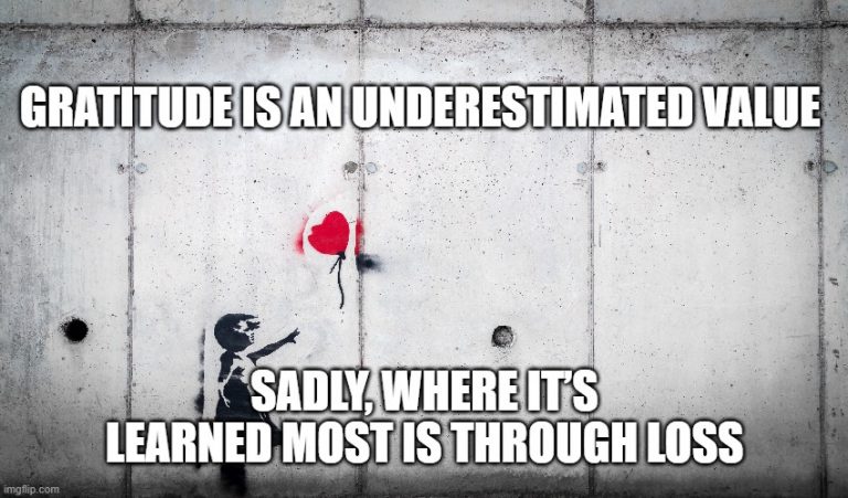 Day 563 – Gratitude through loss…